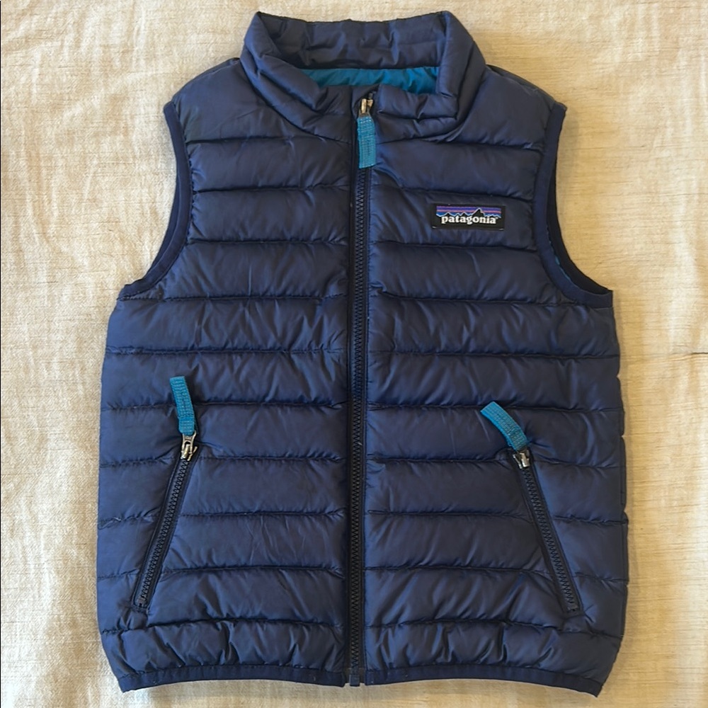 Patagonia Blue Puffer Vest